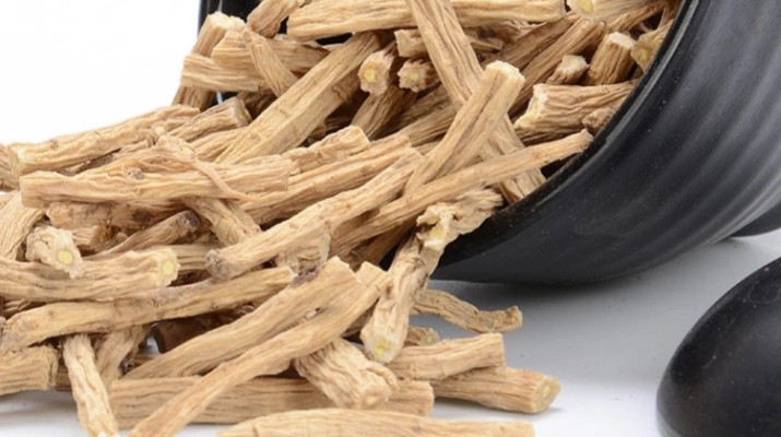 享游渭河源丨千年藥香浸潤的山水秘境，開啟一場康養(yǎng)之旅